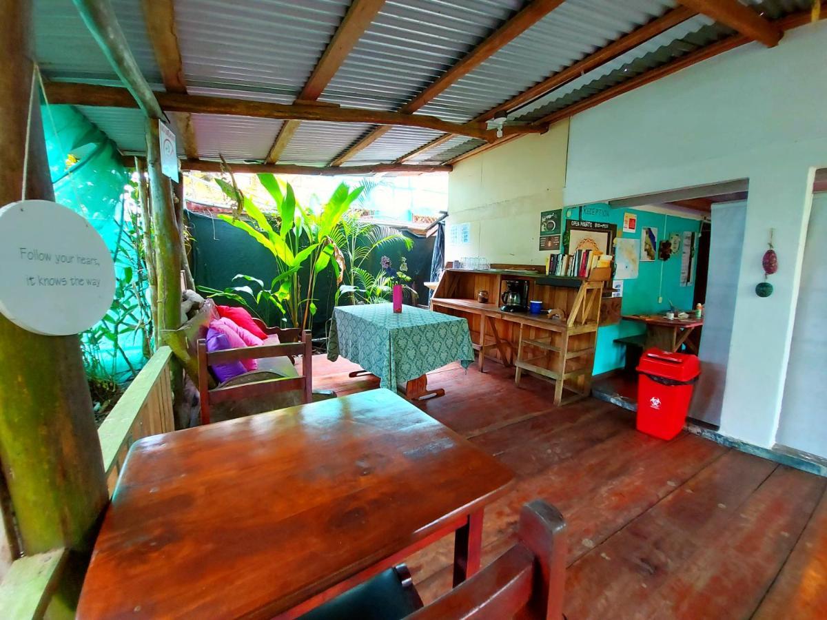 Cabinas Tortuguero Ngoại thất bức ảnh