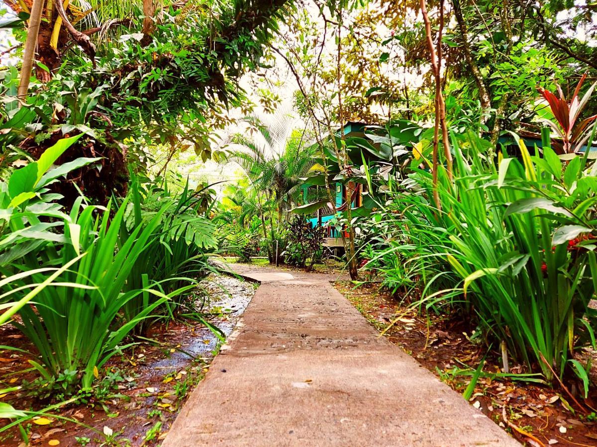 Cabinas Tortuguero Ngoại thất bức ảnh