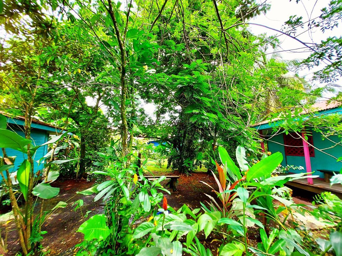 Cabinas Tortuguero Ngoại thất bức ảnh