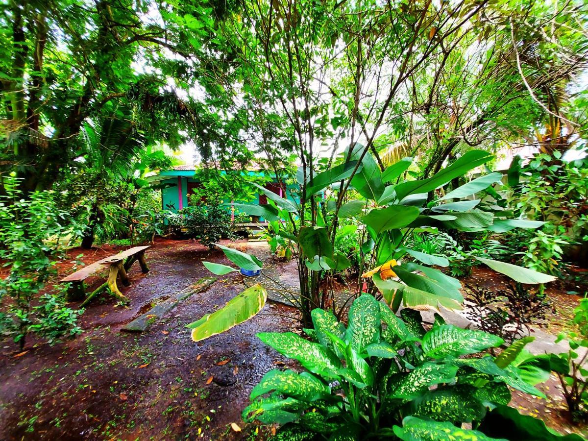 Cabinas Tortuguero Ngoại thất bức ảnh
