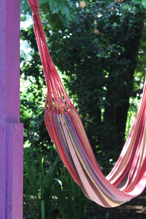 Cabinas Tortuguero Ngoại thất bức ảnh