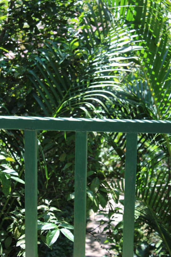 Cabinas Tortuguero Ngoại thất bức ảnh