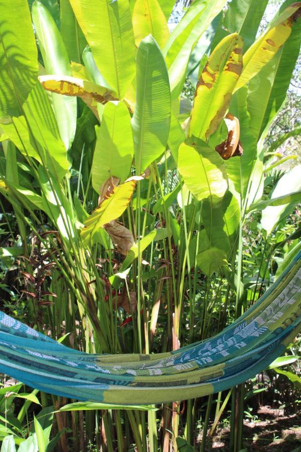Cabinas Tortuguero Ngoại thất bức ảnh