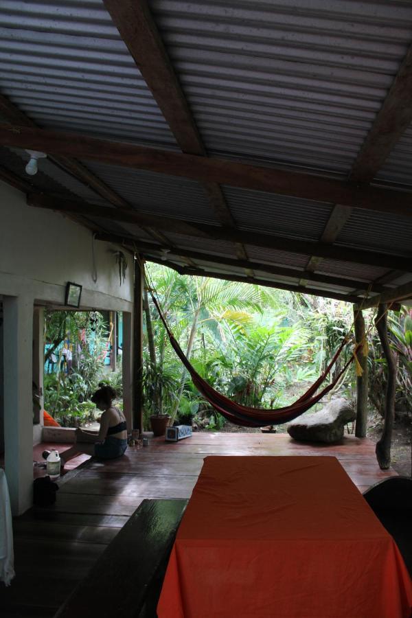 Cabinas Tortuguero Ngoại thất bức ảnh