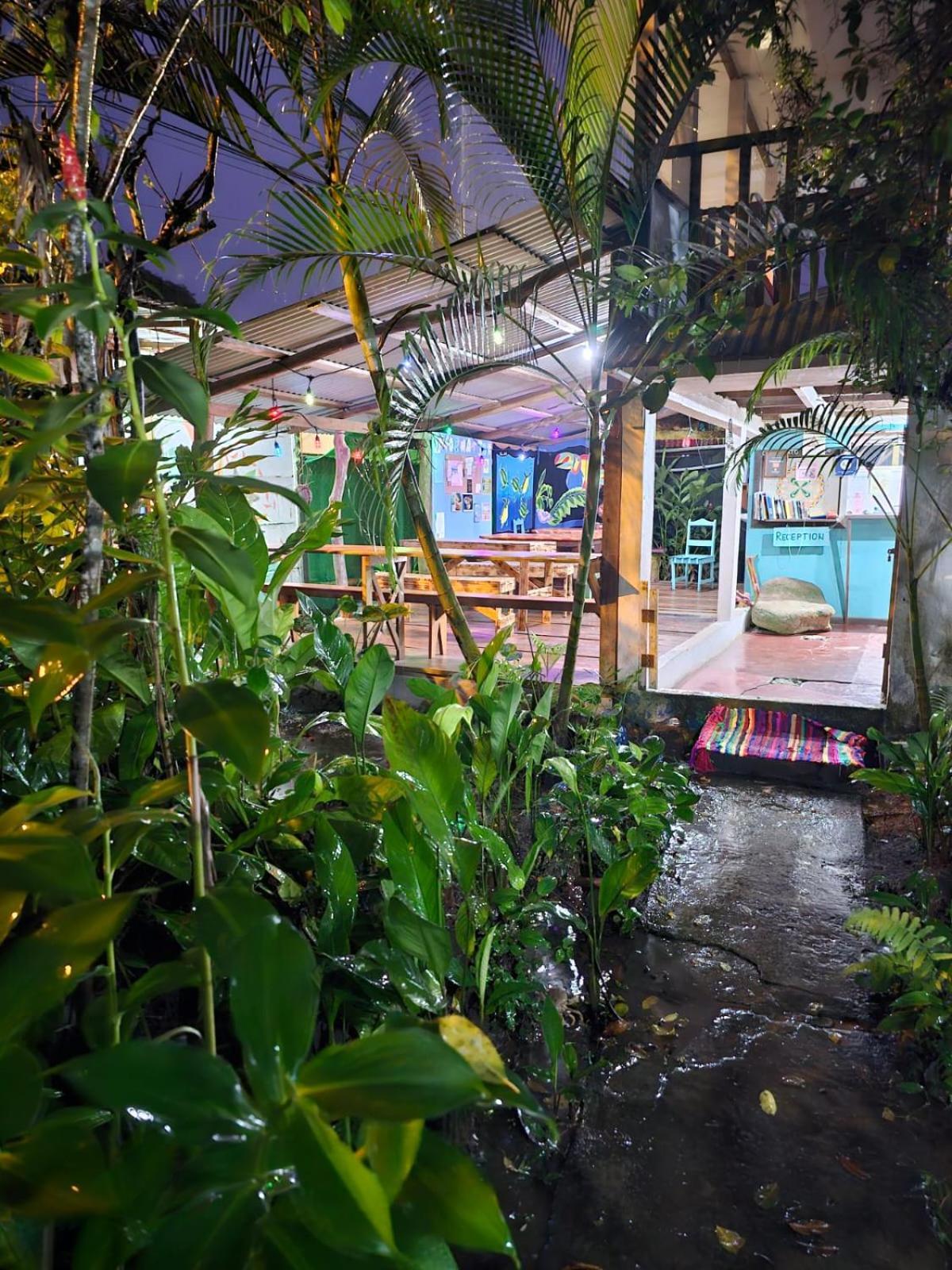 Cabinas Tortuguero Ngoại thất bức ảnh