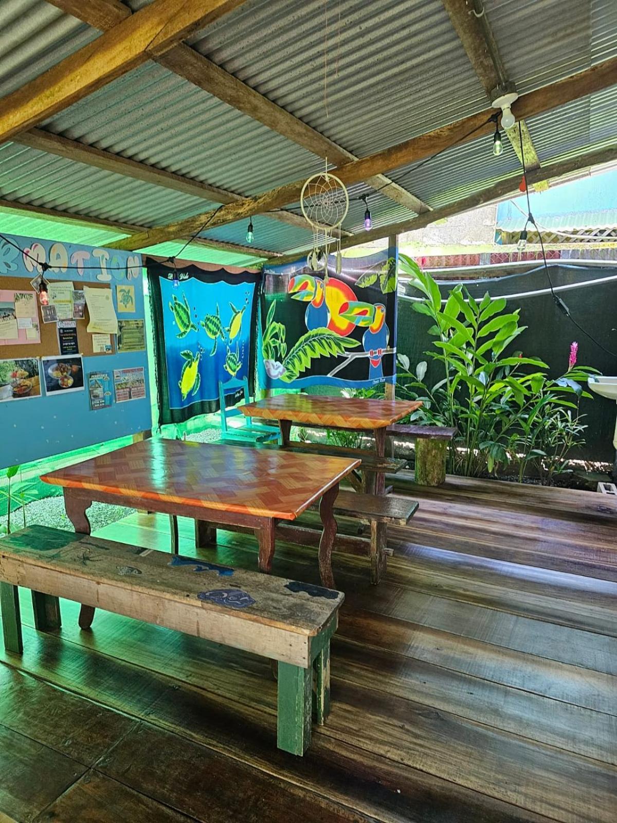 Cabinas Tortuguero Ngoại thất bức ảnh