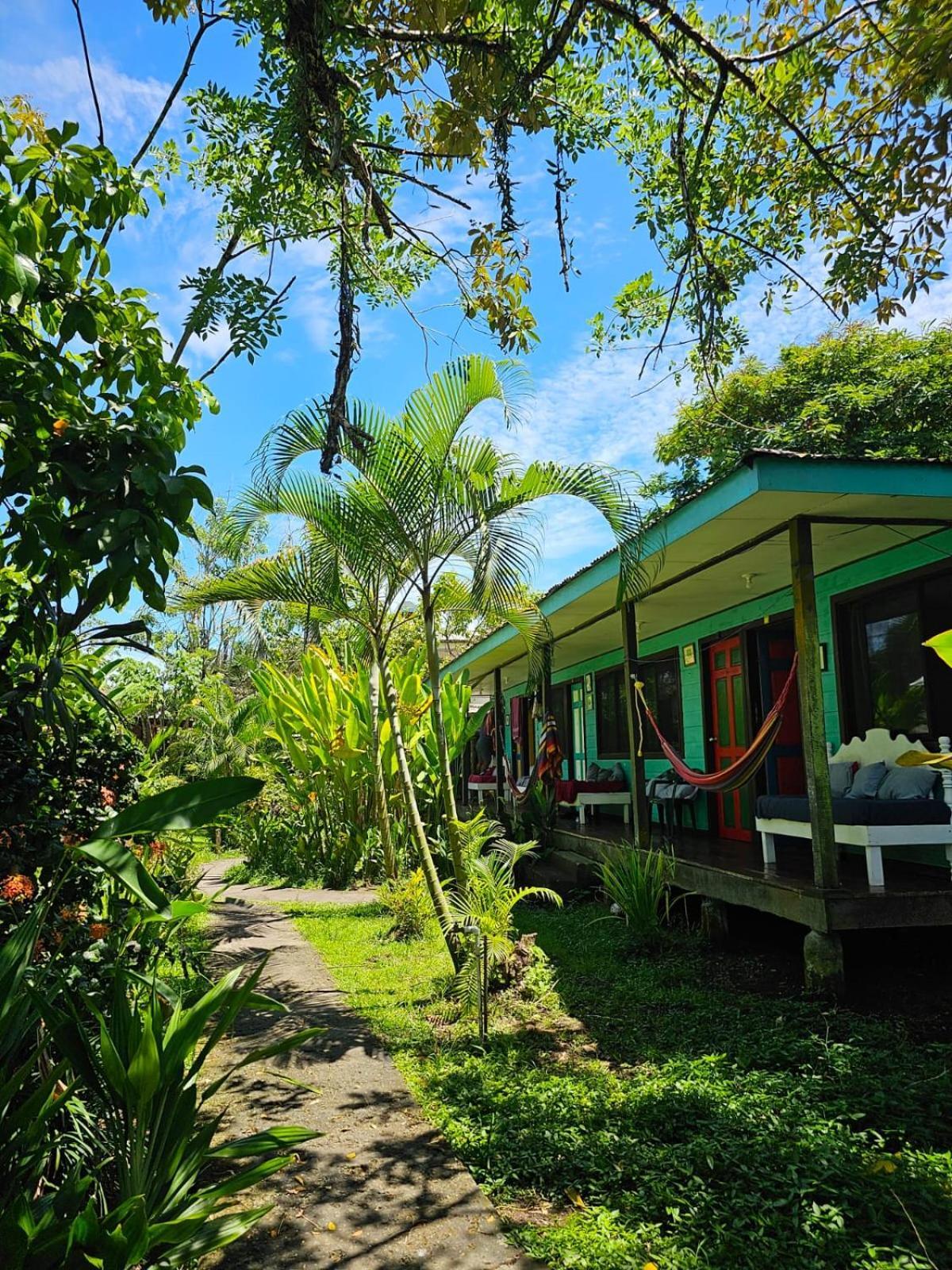 Cabinas Tortuguero Ngoại thất bức ảnh