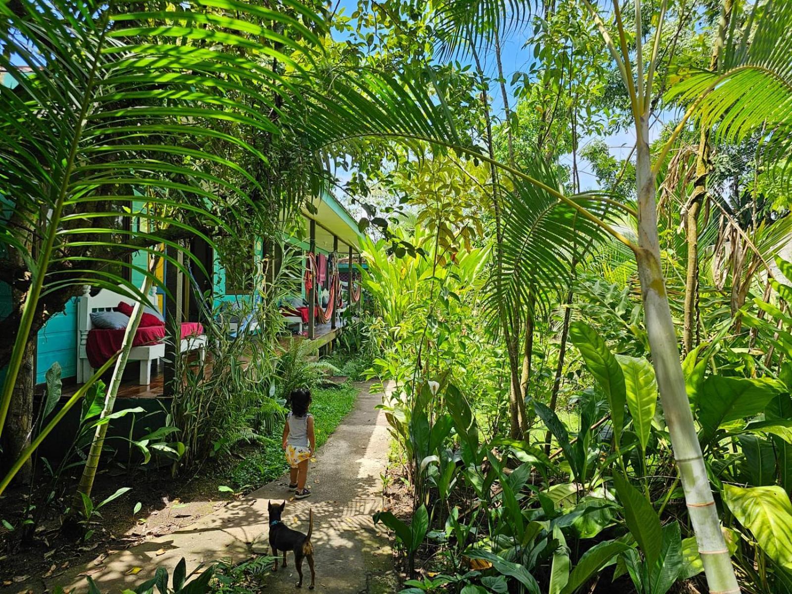 Cabinas Tortuguero Ngoại thất bức ảnh
