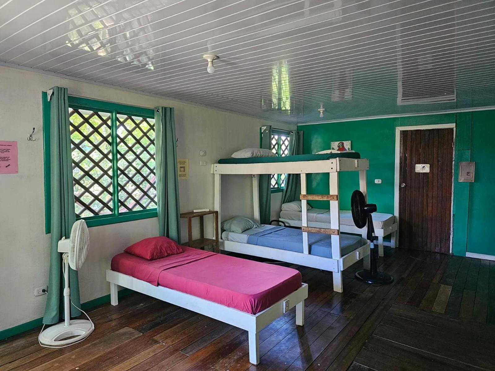 Cabinas Tortuguero Ngoại thất bức ảnh
