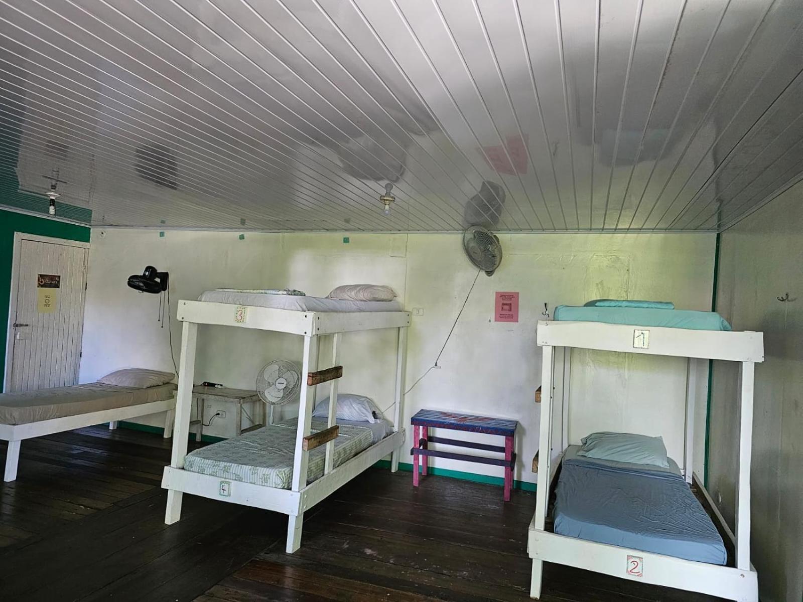 Cabinas Tortuguero Ngoại thất bức ảnh