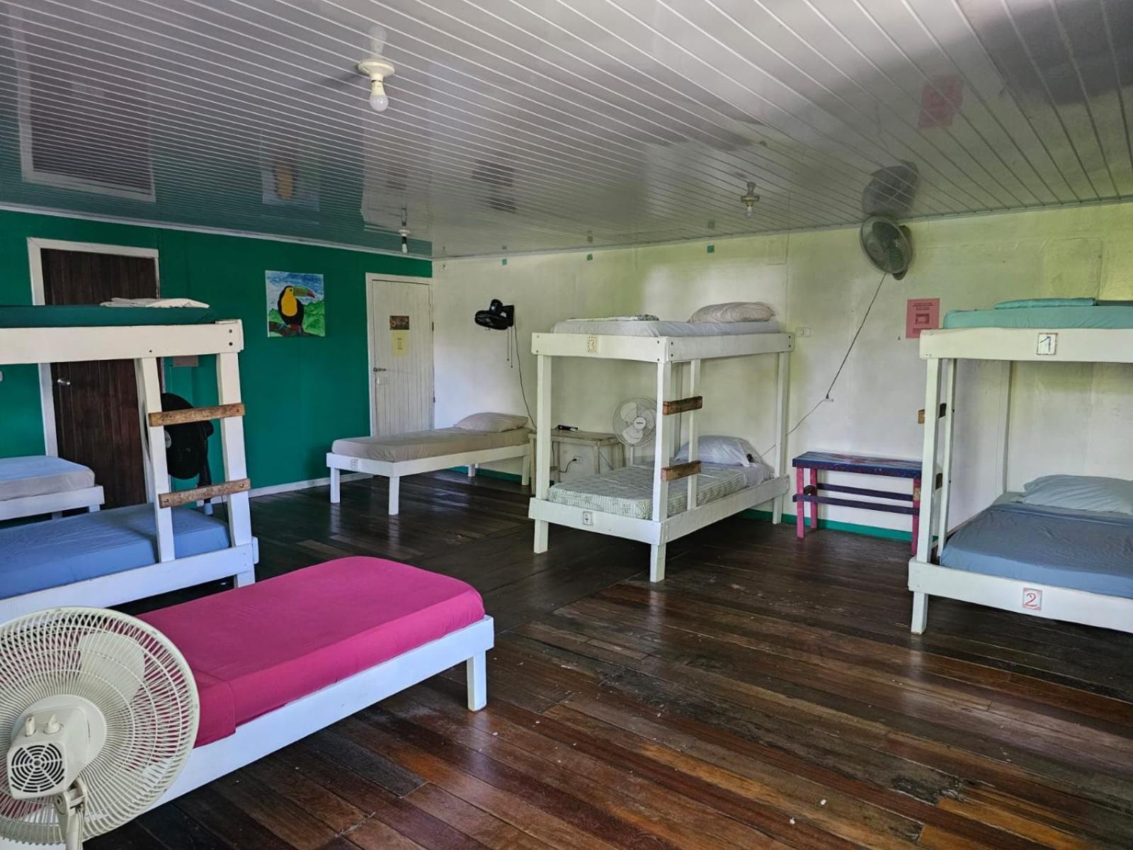 Cabinas Tortuguero Ngoại thất bức ảnh
