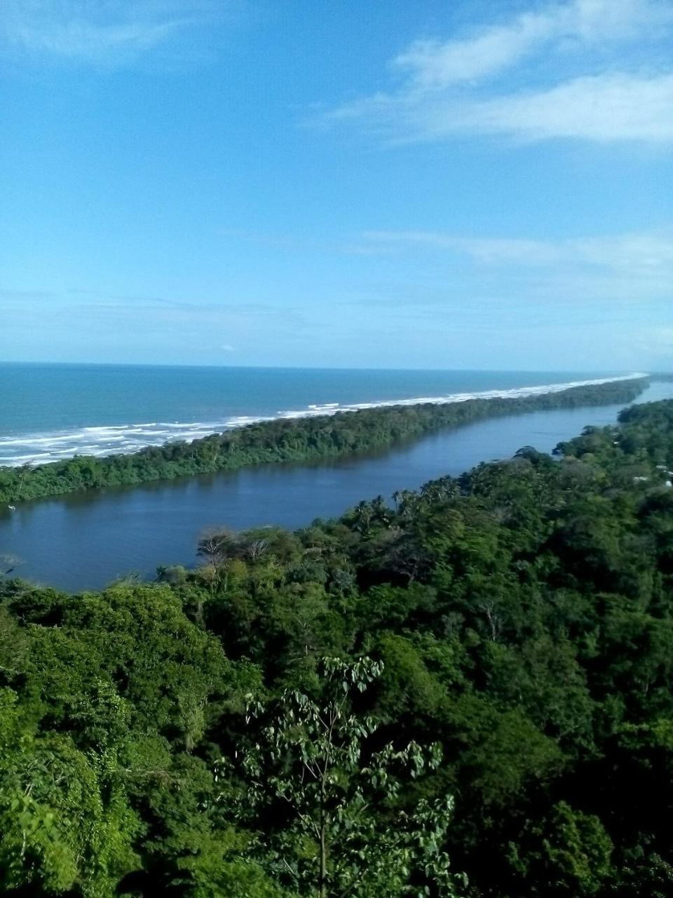 Cabinas Tortuguero Ngoại thất bức ảnh